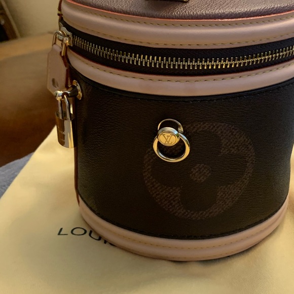 NEW Louis Vuitton Cannes Monogram Brown. - Picture 9 of 16
